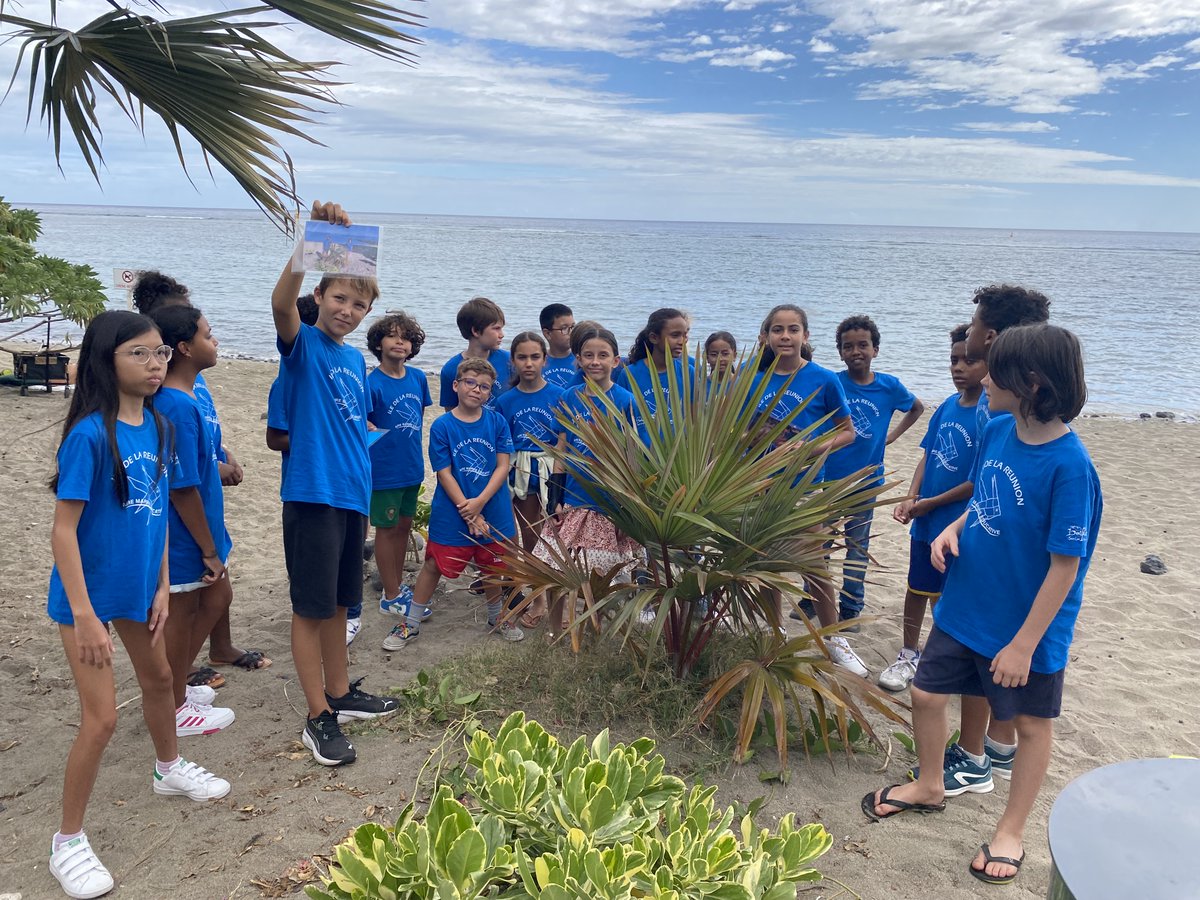 AME974StLeu's tweet photo. Nous, les #CM2 de l'#AME de
@SaintLeu974
avons découvert le projet avec un jeu des élèves de 2022-2023 : des photos de la plage, des plantes... Heureux de participer à ce projet éco citoyen
@OFBiodiversite @AcLaReunion, nous nous engageons à mener des actions pour l'environnement https://t.co/UWIWM1BcDy