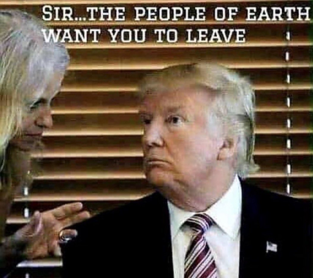 LePapillonBlu2's tweet image. Alright, who made this?! ⚰️😂🤣