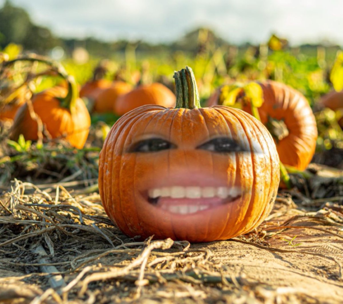 Achutegui_20's tweet photo. How I feel when people call me “pumpkin” https://t.co/mZXWDnBHm1