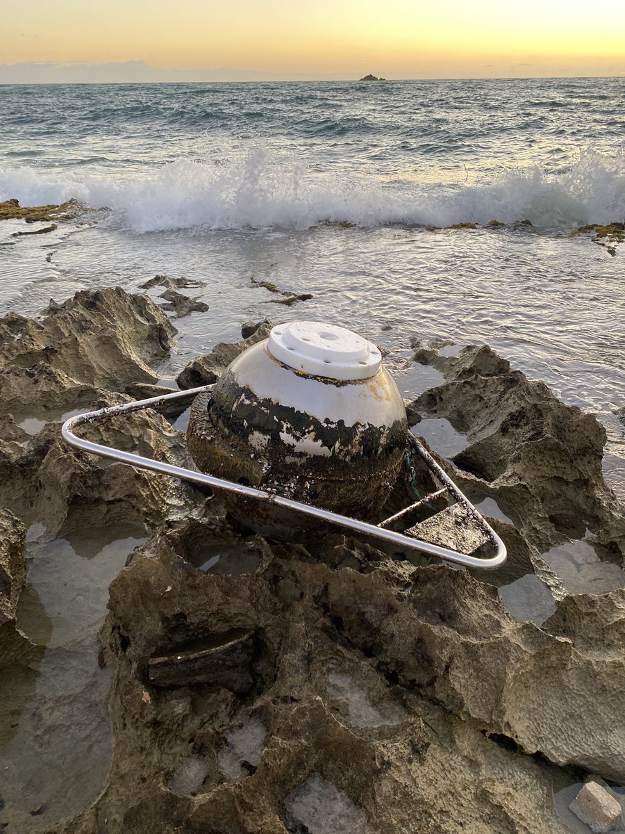 Center for Marine Debris Research tweet media