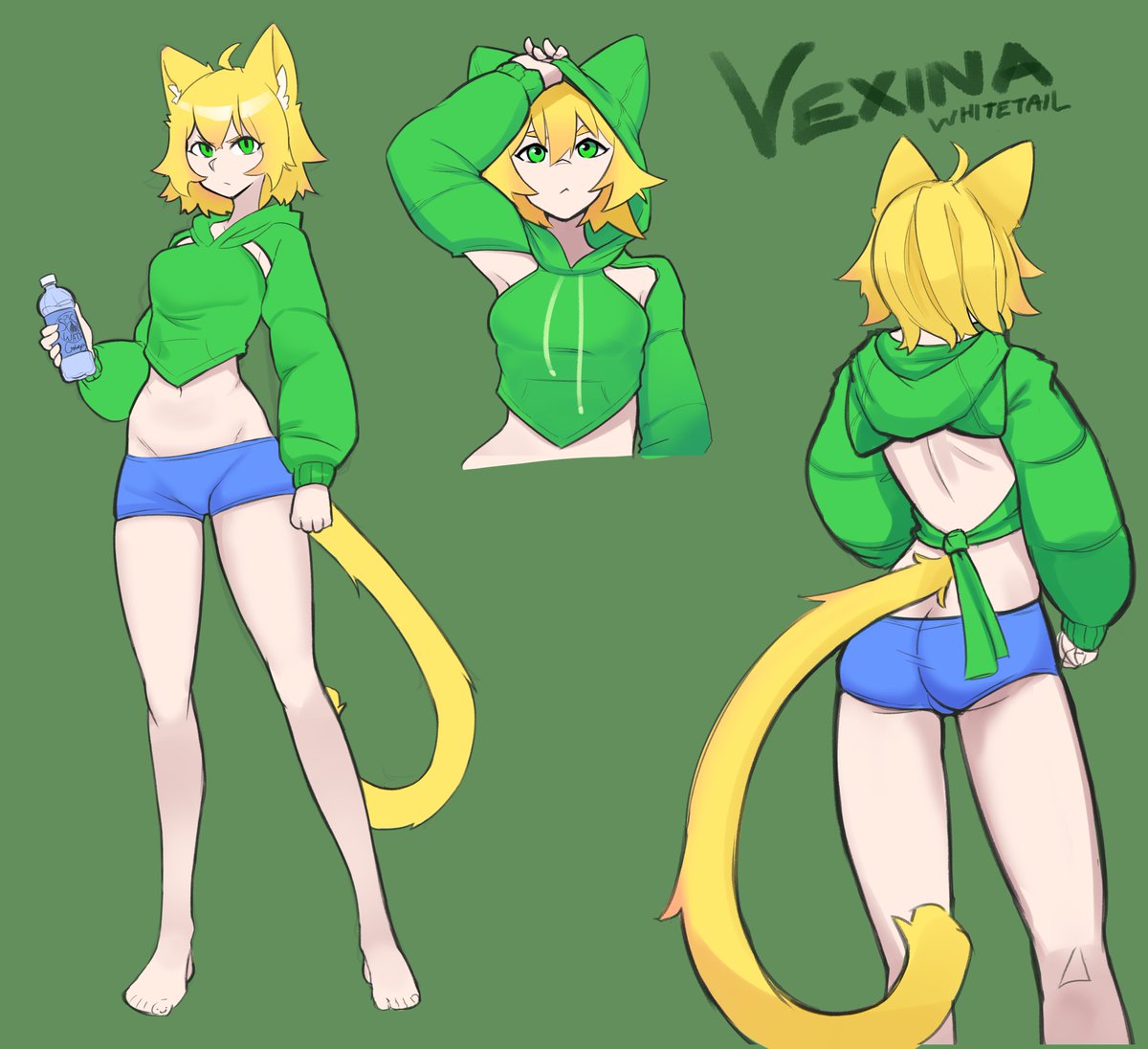 I put my cat in the hoodie