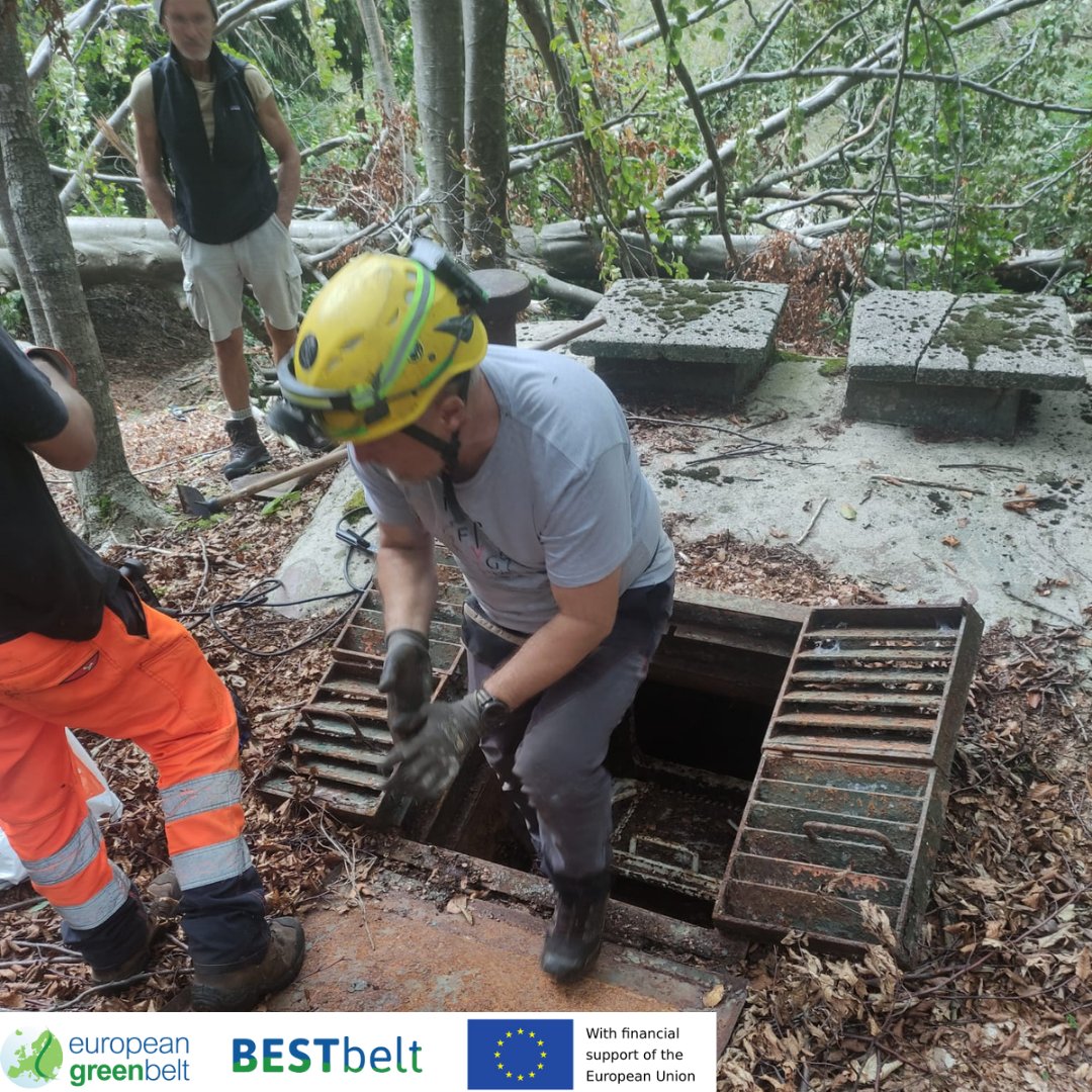 ReteItalia_EGB's tweet photo. How to transform an abandoned #ColdWar #bunker in a shelter for endangered bats? The answer is in these last days of hard work in #Lusevera woods for our #BESTbelt #EU_Env Project!!
#BESTbeltLusevera23
#europeangreenbelt
#egb #fvg #riegb #reteitalianaegb https://t.co/ao4A8zSJMQ
