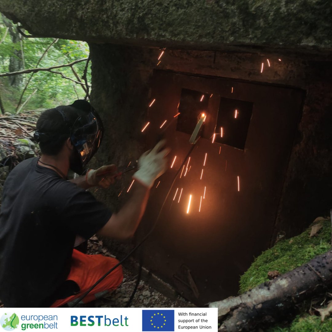 ReteItalia_EGB's tweet photo. How to transform an abandoned #ColdWar #bunker in a shelter for endangered bats? The answer is in these last days of hard work in #Lusevera woods for our #BESTbelt #EU_Env Project!!
#BESTbeltLusevera23
#europeangreenbelt
#egb #fvg #riegb #reteitalianaegb https://t.co/ao4A8zSJMQ