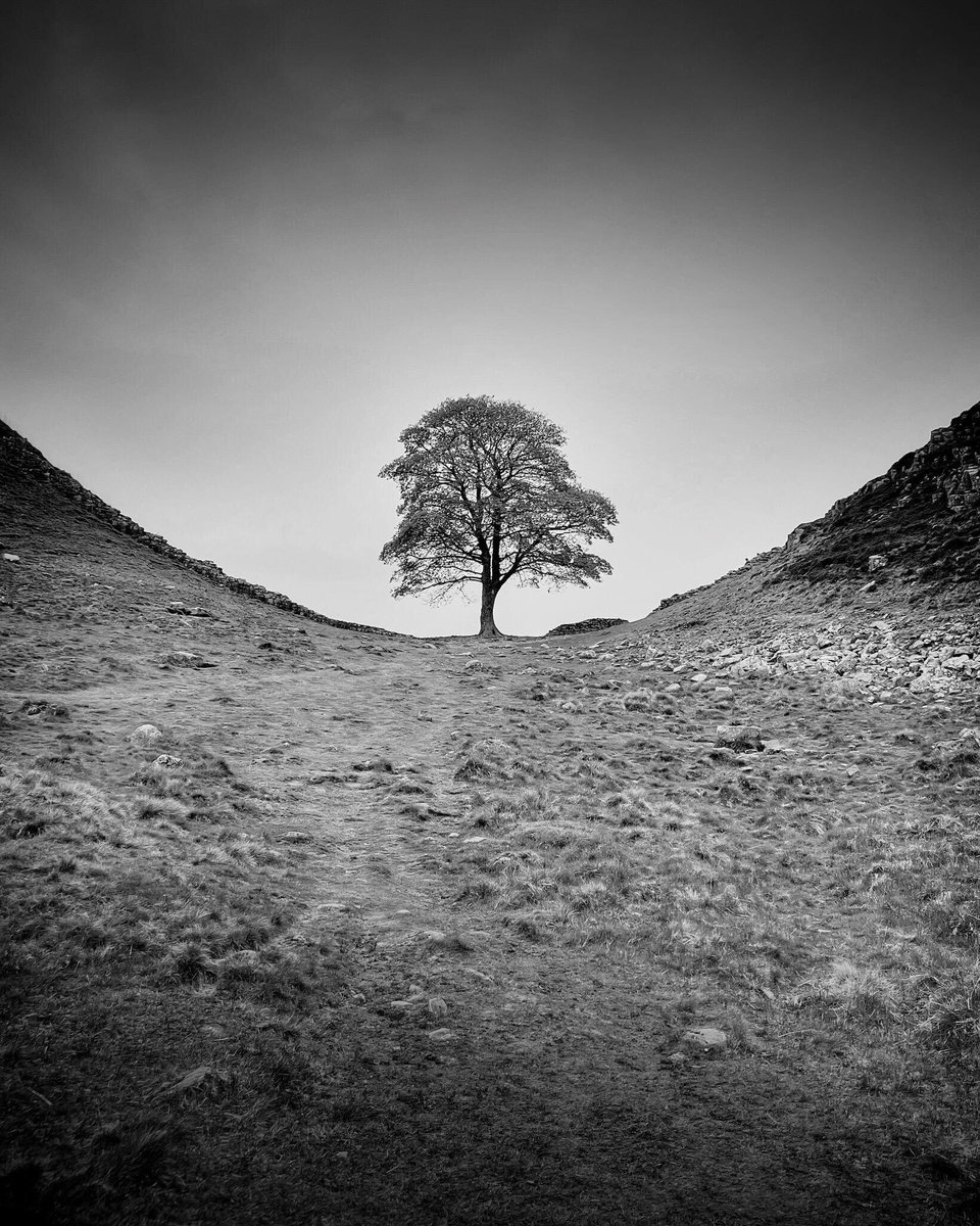 Anita-Clare Field tweet media