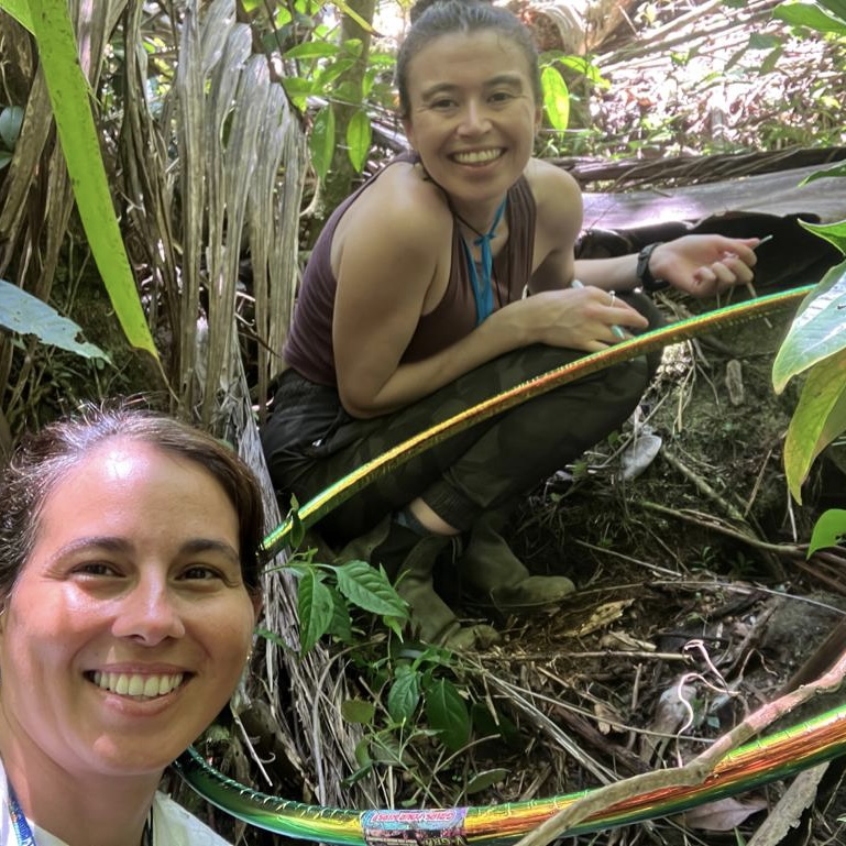 Luquillo LTER tweet media