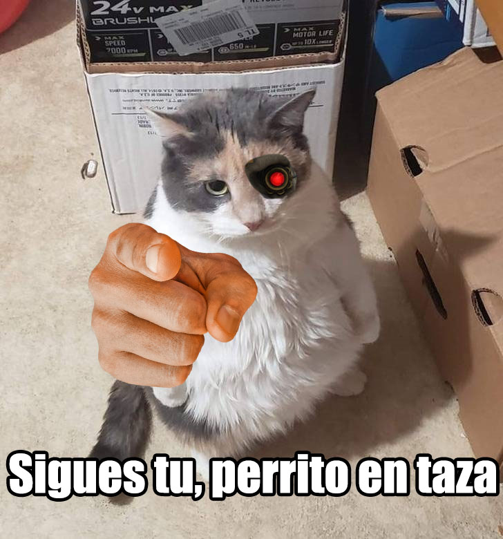 Ahora sigue <a href="/Tammy_BB_Vtuber/">Tammy_bb (Moñoñongo)|🫔</a>. Como la diosa de los excesos, el placer y las sensaciones fuertes. Espero que te guste :D @Lordnekito @3huntleo #fanart #40k