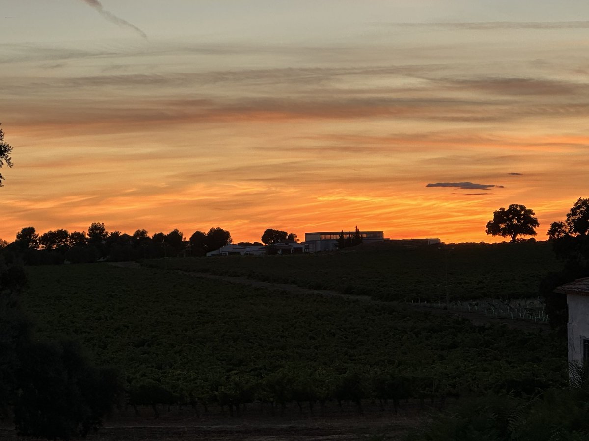 rosavaleropolo2's tweet photo. @tiempobrasero  soy Rosa Valero y estas imágenes las deja un atardecer en el Monte de las Mozas , Albacete https://t.co/3gMcuBdkoM