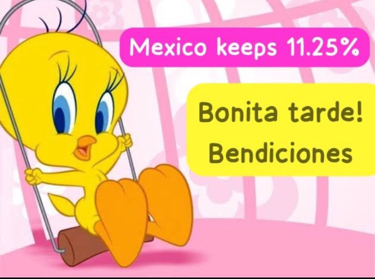 LuisGonzali's tweet image. Para que lo envíen al chat de las tías.

De nada!