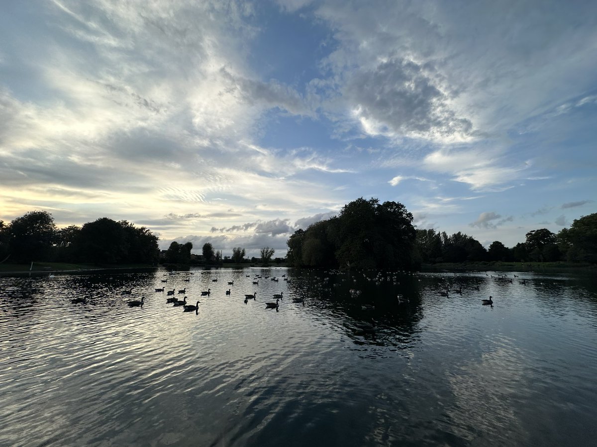 JadeAnnaSmith08's tweet photo. Geese https://t.co/sL7ljJjSsj
