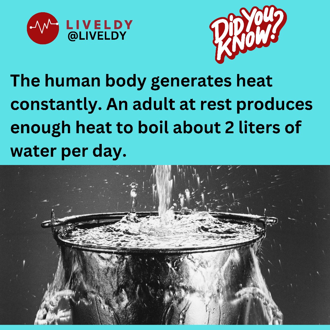 liveldy's tweet photo. #amazingfacts 
The human body at rest can generate enough heat to boil about 2 liters of water per day.😱😱

There's a 50% discount waiting for you at https://t.co/9XLZTEoztP to speak with a licensed Medical Doctor at any time you need to. 

#BreakingNews #Naira https://t.co/A0vTEZsUrR