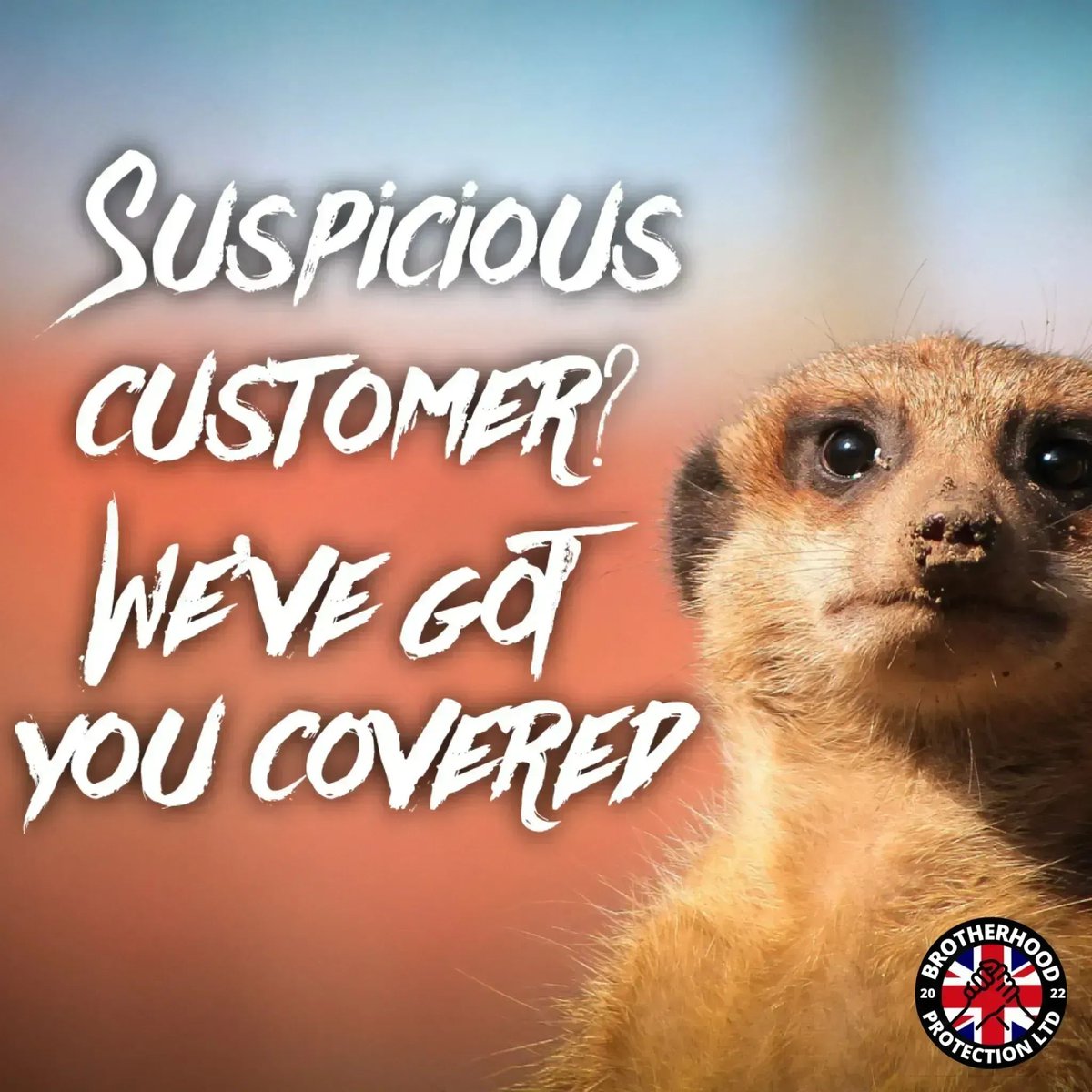 BHProtection's tweet image. Need your goods watched and assets protected we are here for you. #AssetProtection #StoreSecurity #StaticGuard #Oxfordshire #Norlfock #Suffolk #Kent #MiltonKeynes #Chester #Liverpool #Wrexham #Leeds #Manchester #Birmingham #Northampton #Newcastle #Essex