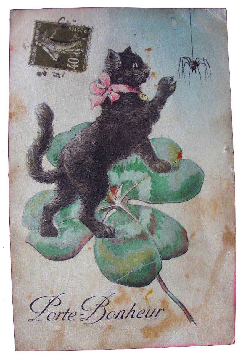 Lunarteddy tweet media