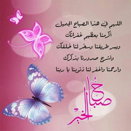 🦋5 🇪🇬 ام المصريين🦋🇪🇬 tweet media