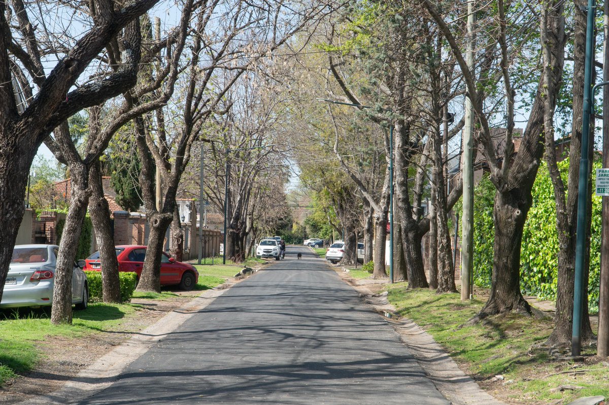 Para que puedas circular mejor, renovamos #calles en todas las localidades. 🚙

⛔️ Estamos repavimentando tres cuadras de Los Patos, entre José Ingenieros y Mosconi, #Beccar. El tramo se encuentra cerrado al tránsito.
🔜 Próximamente comenzarán tareas similares en cinco cuadras