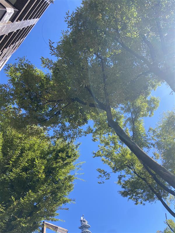 PcVueJapanaichi's tweet photo. #名古屋 の空は、#晴れ です☀
久しぶりの更新になりました。
ずいぶん涼しくなってきましたね☺
今日も一日頑張りましょう!
#PcVue
#企業公式が毎朝地元の天気を言い合う
#企業公式がお疲れ様を言い合う
#企業公式相互フォロー
#企業公式夏のフォロー祭
#企業公式つぶやき部
#企業公式 https://t.co/o7ZzmAtzPK