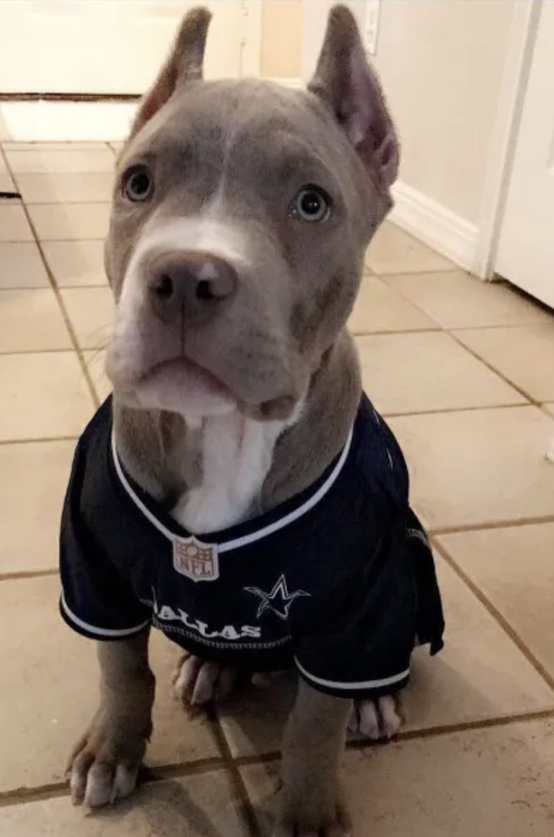 D (@serenitynow2000) on Twitter photo 