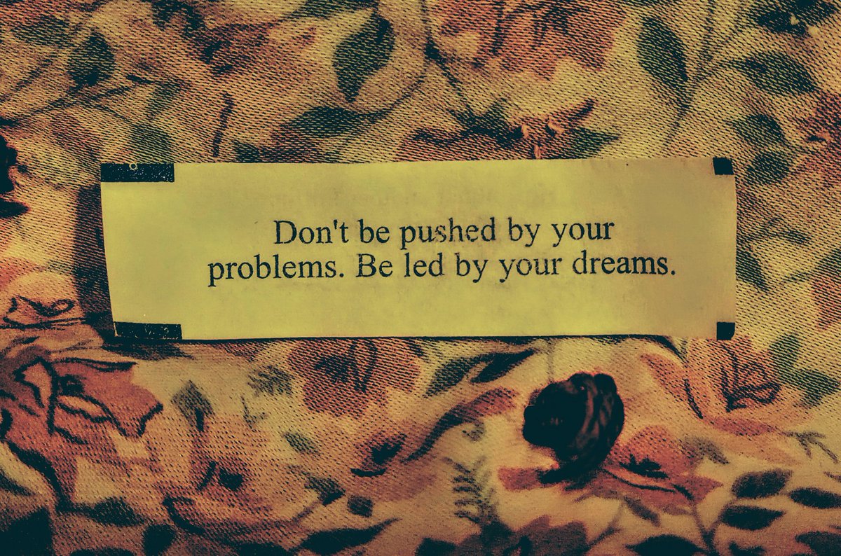 rainsong77's tweet image. Don't tell me what to do. 😂 🥠 

(#chinesetakeout is life)