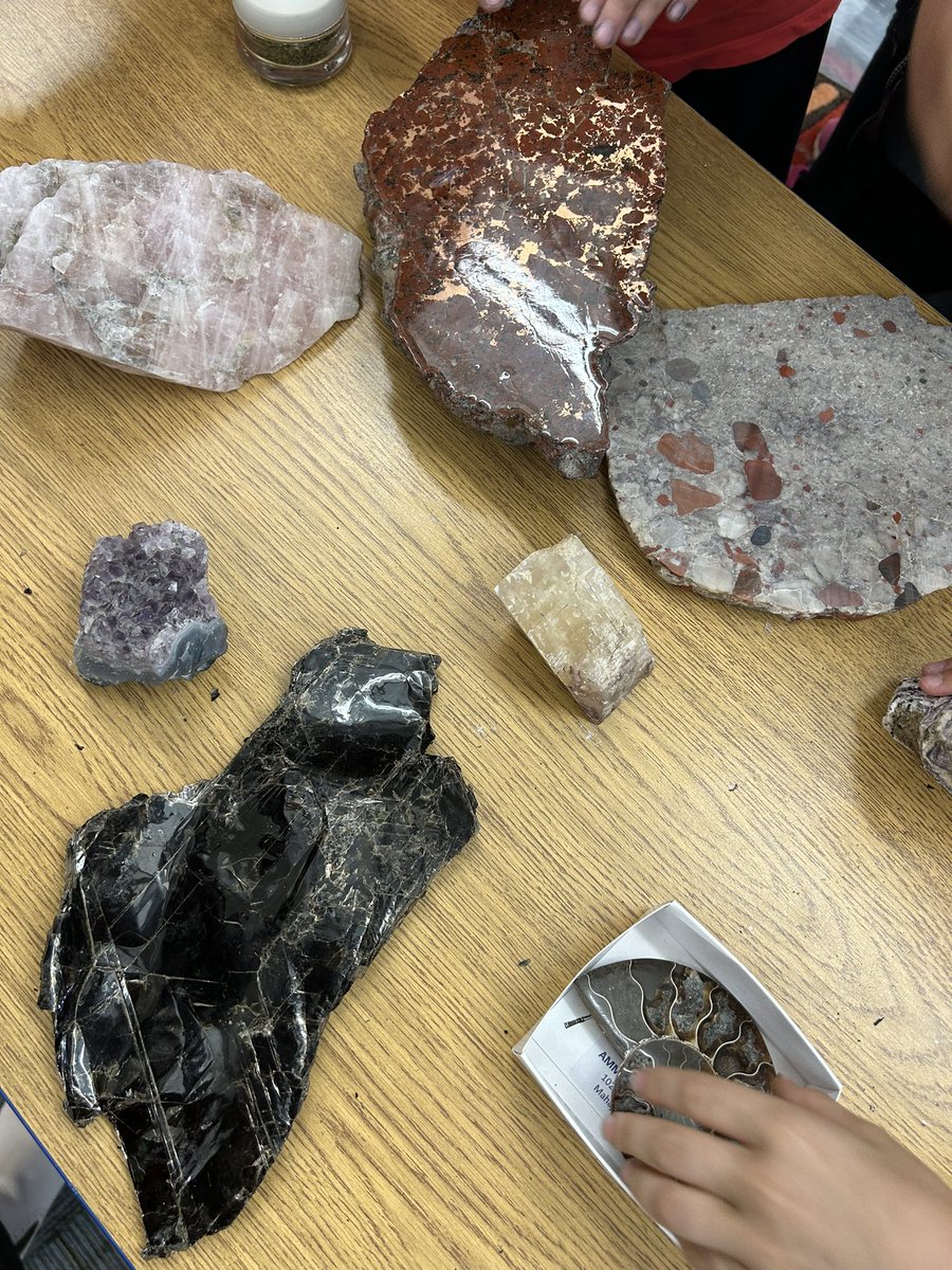 Miss Camilo tweet media