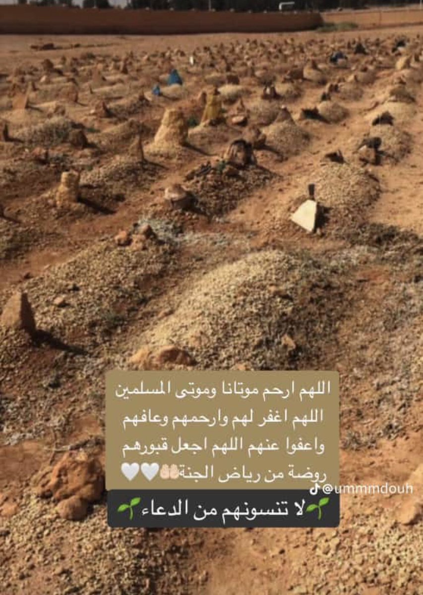 ام الغزلان❤️ (@omalgezlan) on Twitter photo 