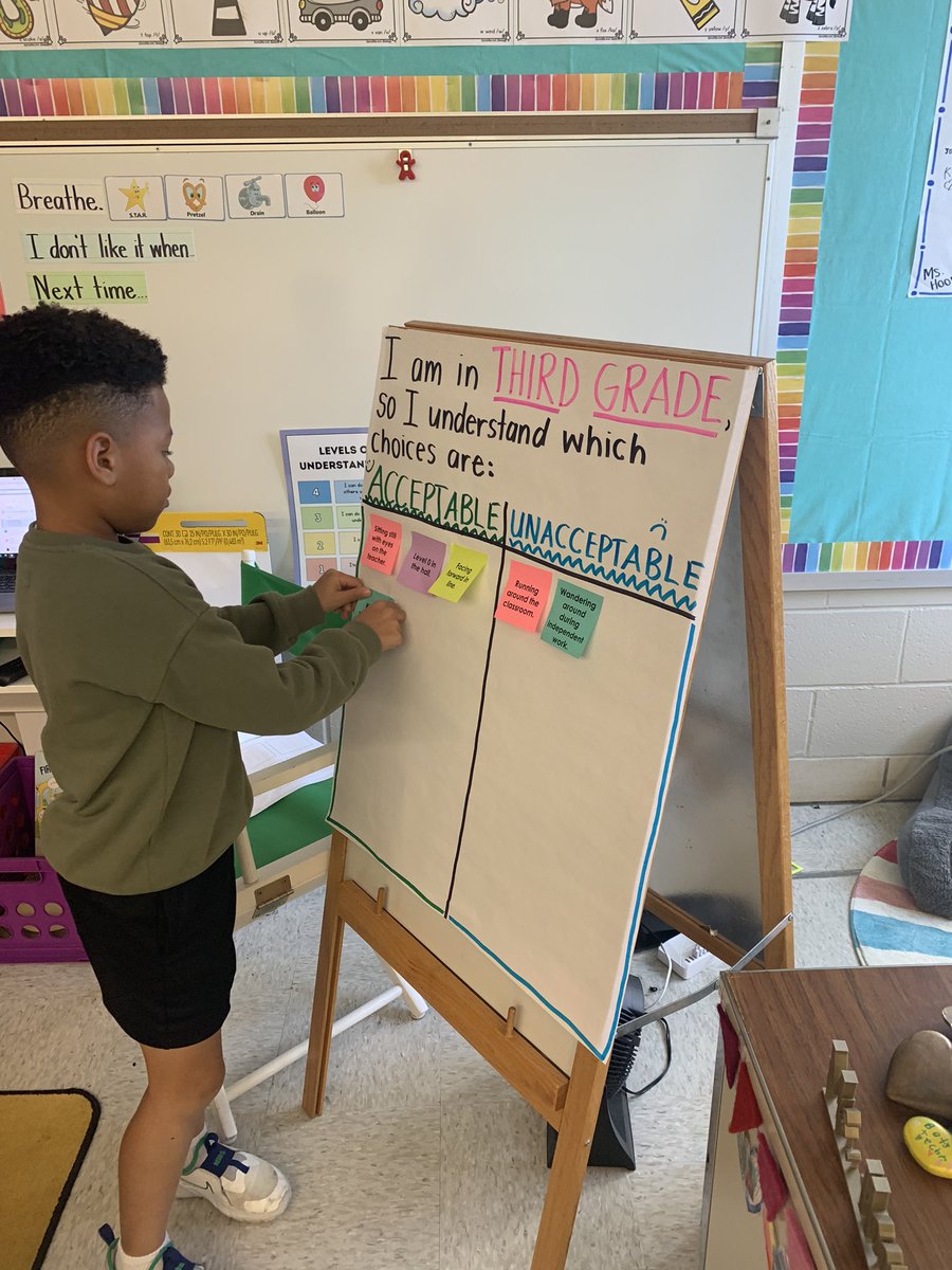 MsHooverBRE's tweet photo. We are in third grade, so we understand which choices are acceptable and unacceptable. We will keep this chart in our classroom as a reminder of expected behavior. https://t.co/ucDauvHXIt
