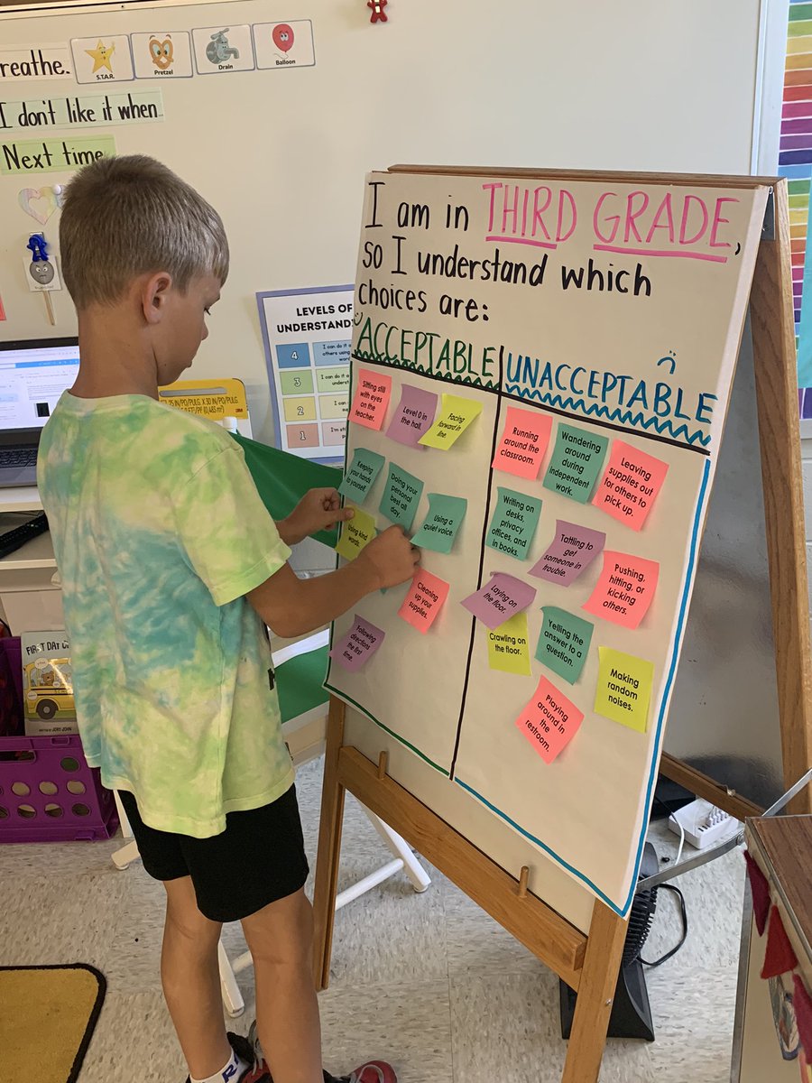MsHooverBRE's tweet photo. We are in third grade, so we understand which choices are acceptable and unacceptable. We will keep this chart in our classroom as a reminder of expected behavior. https://t.co/ucDauvHXIt