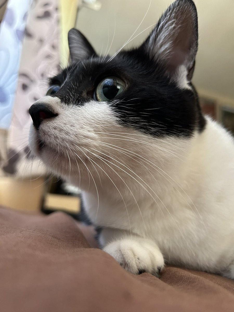 bozzuco's tweet photo. https://t.co/C7UH4D73Lu