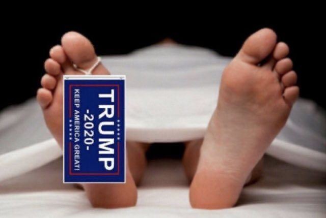 me_idealist's tweet photo. @AndreaKatSTL @ProjectLincoln @HawleyMO Y’all prove again to be in your insane cult. 🙄 You stand with the politician who was kicked to the curb by American citizens, who stole top secret nuclear documents after staging a violent coup. Makes you a #traitor to America.
#WeStandWithAmerica 🇺🇸
Let’s bury it. It’s dead. https://t.co/iKCQaQ9TMA