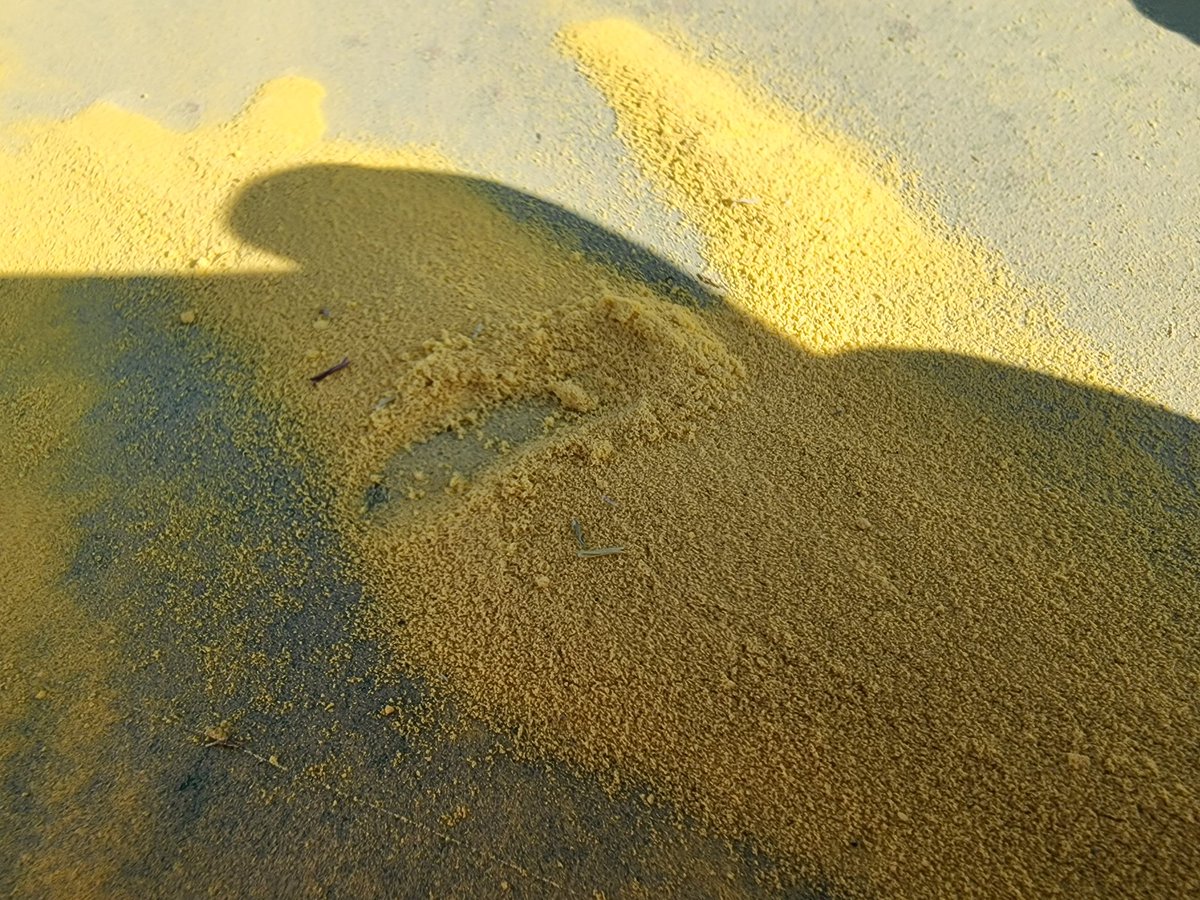 Corbin Schuster tweet media