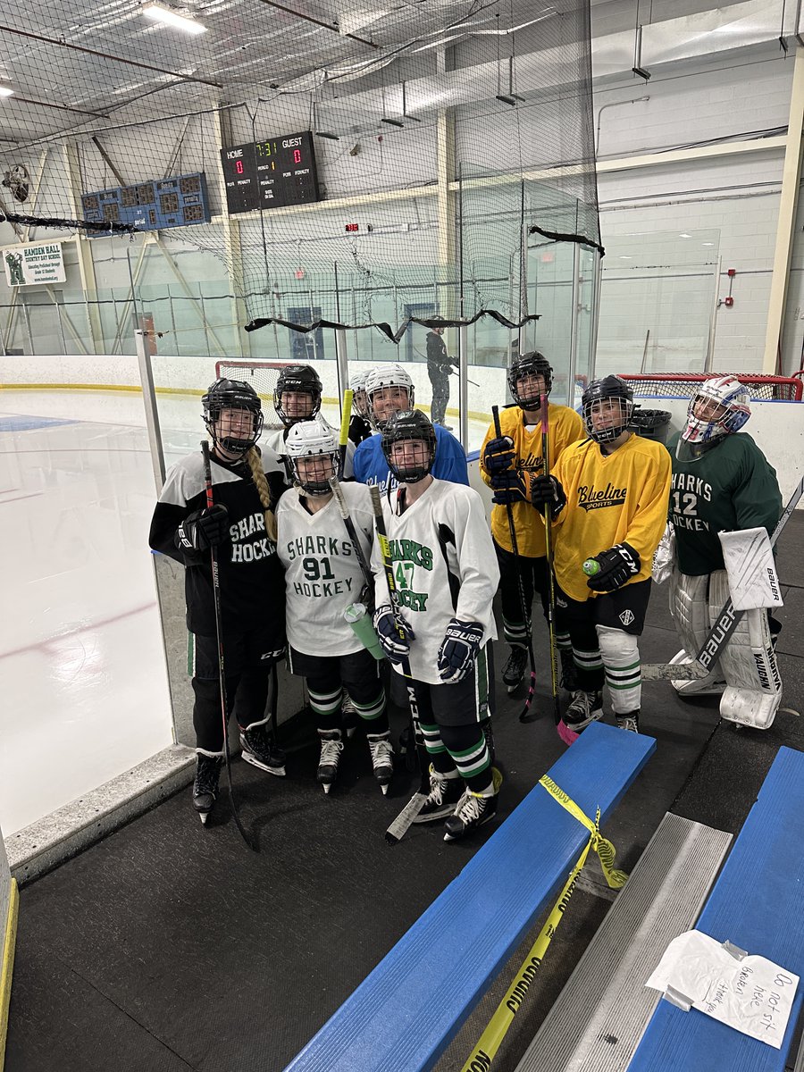 Shoreline Sharks CT tweet media