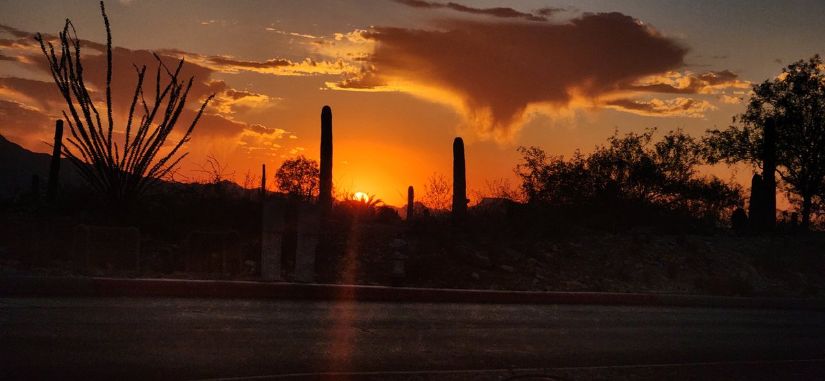 I love our sunsets ❤️🧡💛
#Tucson #tucsonsunset