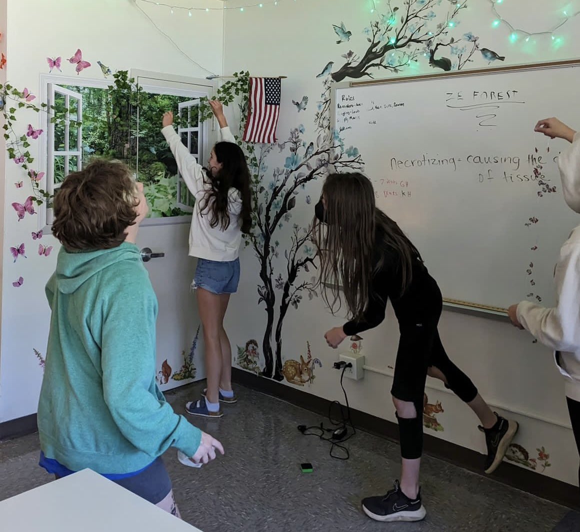 We're finishing our learning spaces-focused interdisciplinary project in which grades 6-8 students took data, proposed, changed and then executed classroom designs centered around Biomes.