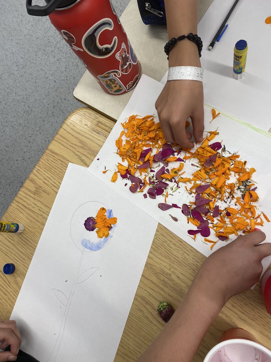 We also used the petals to recreate flowers making gorgeous mixed media art. So many fun hands on activities in Grade 5/6 <a href="/WinstonPSLDSB/">Winston Churchill PS</a>