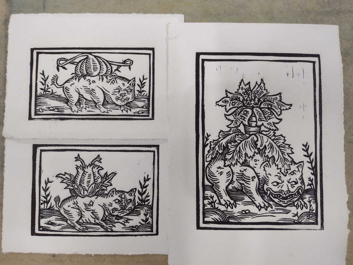 · 𝕸𝖚𝖈𝖈𝖊𝖌𝖆𝖎 · COMMS OPEN tweet media