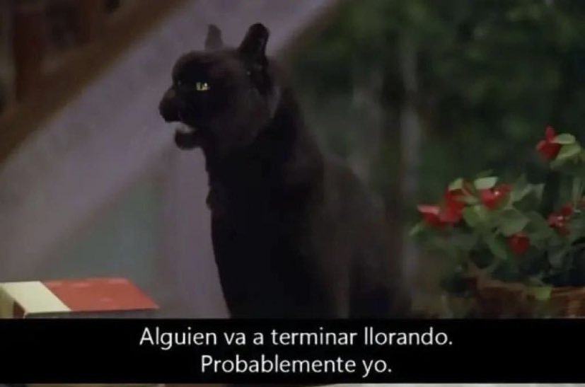 cuando me empiezo a encariñar con alguien