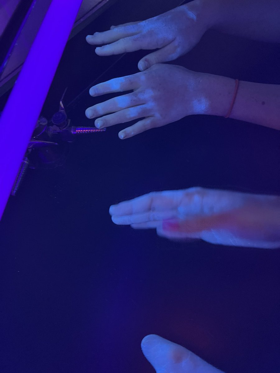 MsDeBottisbio's tweet photo. Our C.E.R today answered the question, which method of hand washing is most effective? 😶‍🌫️🫧🫧 I brought the “ick” factor to a 10 today in advanced biology!!! @MsDeBottisbio @Humble_2ndSci @HumbleISD_KPHS #soapandwater🫧@DawnDish https://t.co/LCEfGdG5PP