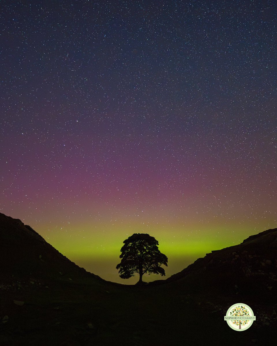 SophPhotographs's tweet photo. Sycamore Gap and the beautiful Northern Lights @IainDale thanks for having me on the show tonight.
@ sophiehenderson92 on instagram #sycamoregap https://t.co/pKADo7ymqo