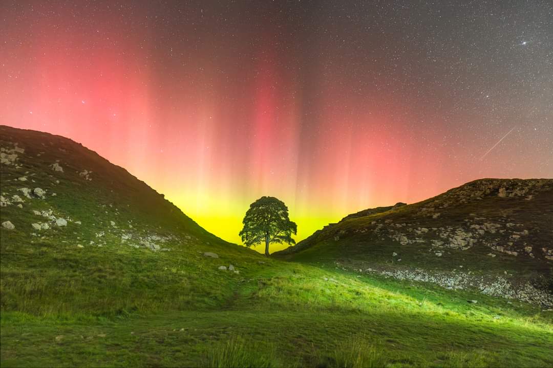 KirstyJones78's tweet image. I know there are worse things going on in the world but my goodness, this has made me so sad today. #SycamoreGap