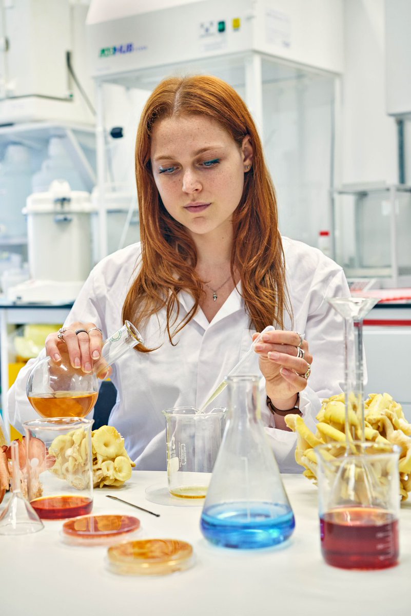 Biodesign Challenge tweet media