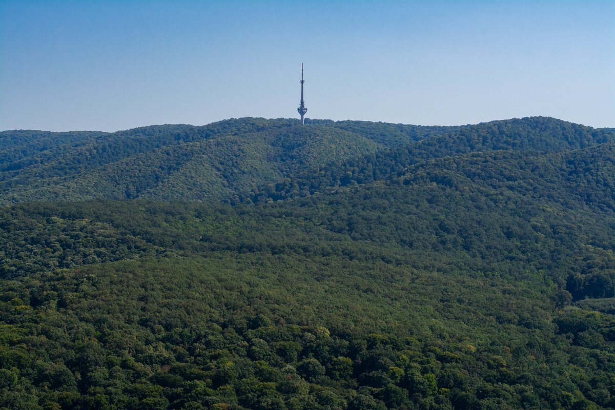 Orlovo bojište, Fruška gora