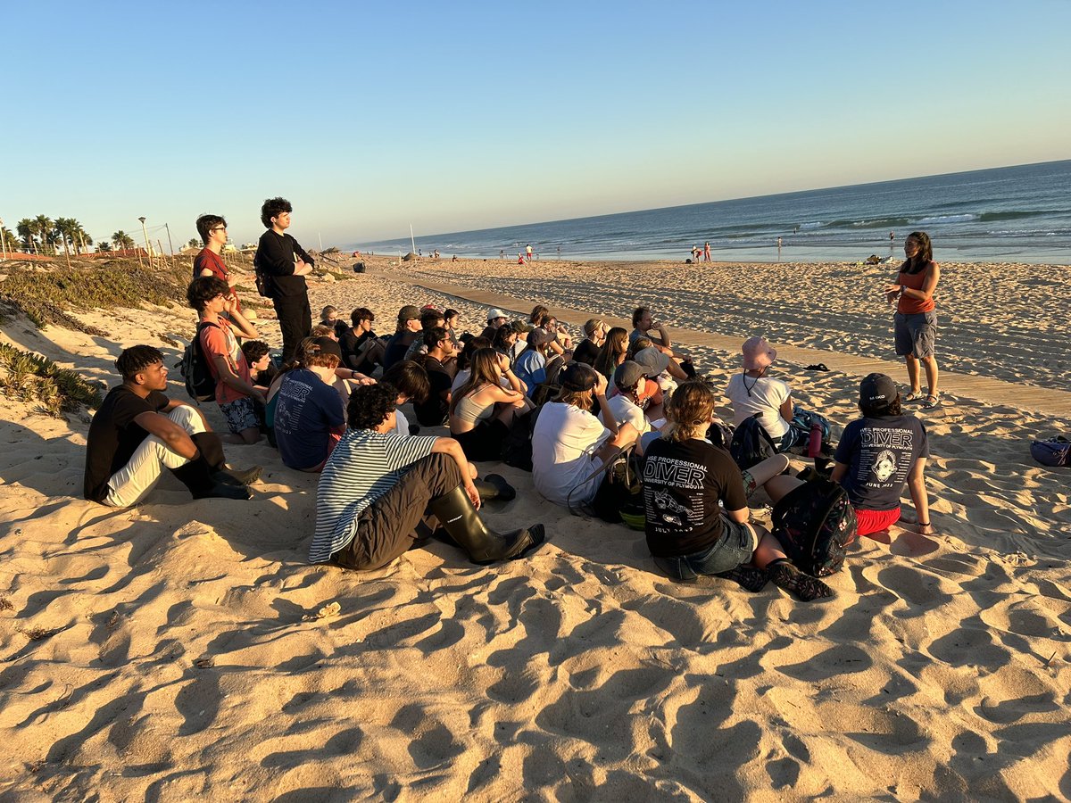 Lucy Turner tweet media