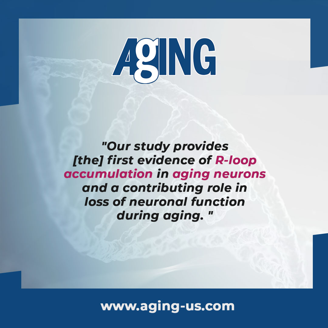 AgingJrnl's tweet image. #TrendingWithImpact: On September 13, 2023, researcher Hana Hall from the Purdue Institute for Integrative Neuroscience at @LifeAtPurdue published a new editorial paper in Aging (Aging-US), entitled, “R-loops in neuronal aging.”

DOI: doi.org/10.18632/aging…

#aging #Rloops