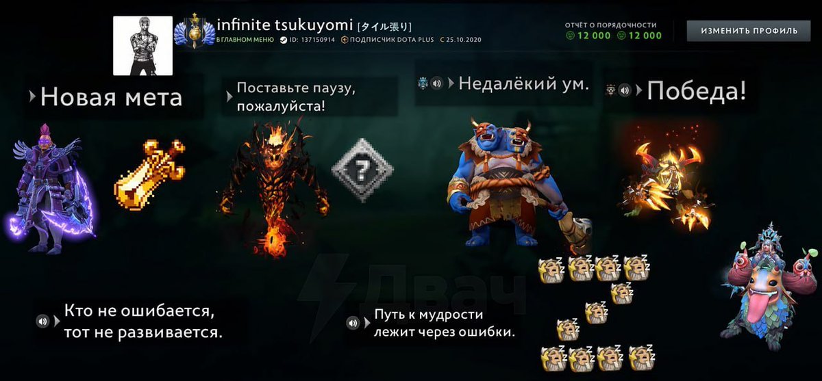 ru2ch's tweet photo. Valve разрешила игрокам украшать свои профили в Dota 2 и вот что из этого вышло https://t.co/LCvXU9vm00