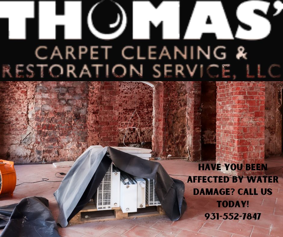 Thomas (@thomascarpet) on Twitter photo 