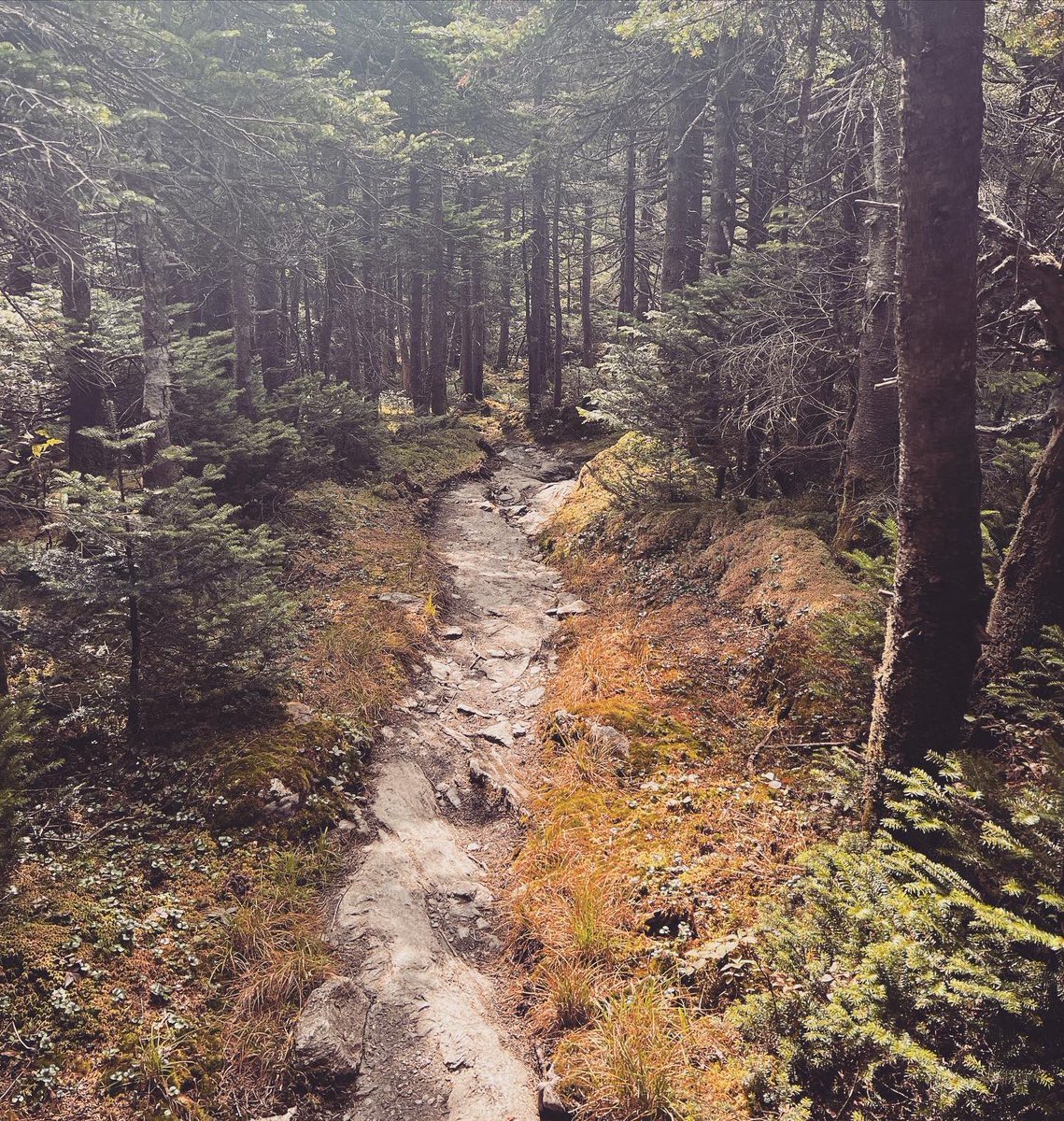 eaj's tweet image. 7.7mi, 2852ft. #mtmansfield #vermont #hiking #trailrunning