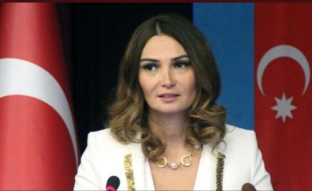 Aslaniric's tweet photo. @GanirePashayeva Allah rahmet eylesin Türk dünyasının başı sağolsun. https://t.co/QIXyyES5hN