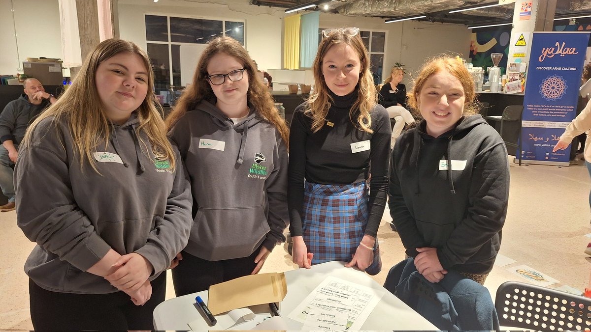 NI UK Youth Parliament tweet media