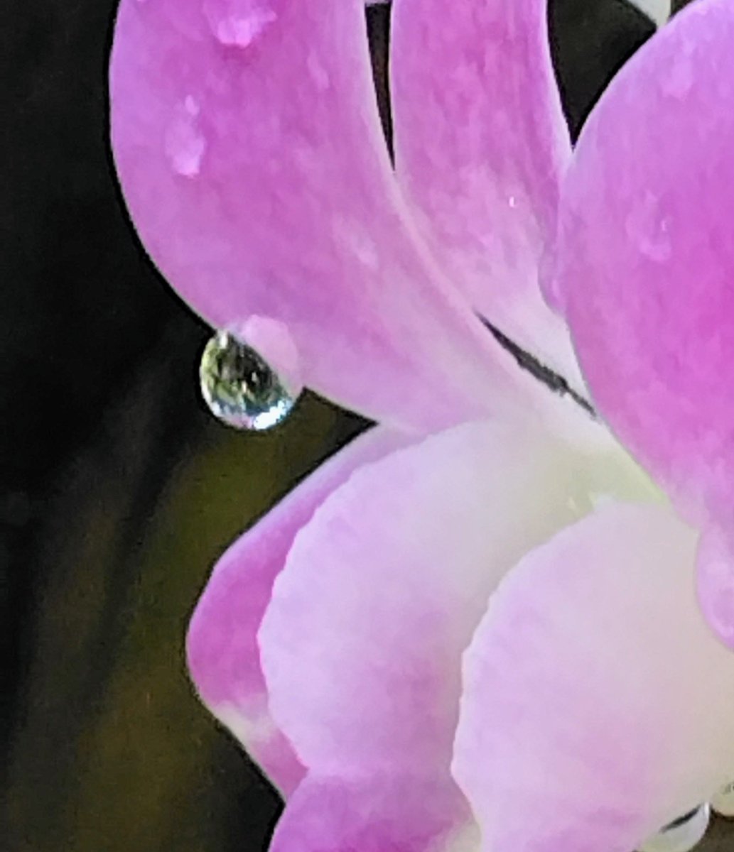 アンデぱる tweet media