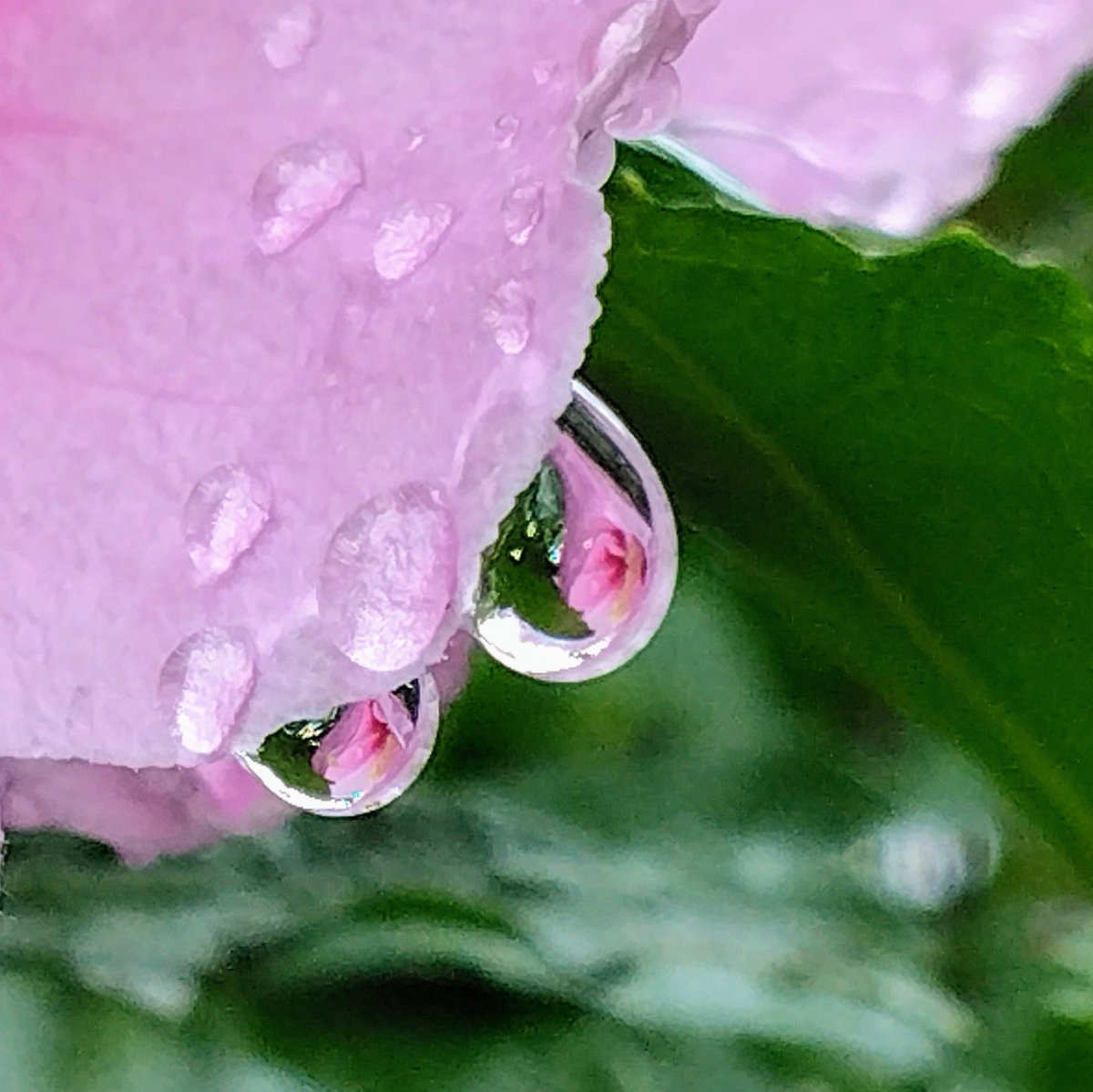 アンデぱる tweet media