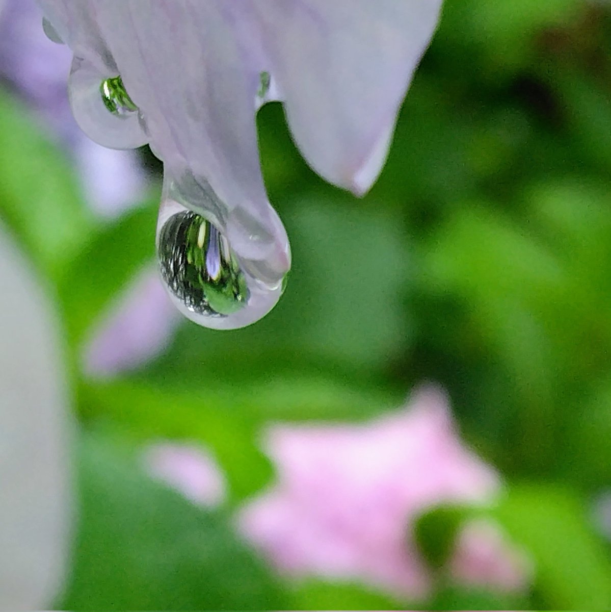 アンデぱる tweet media