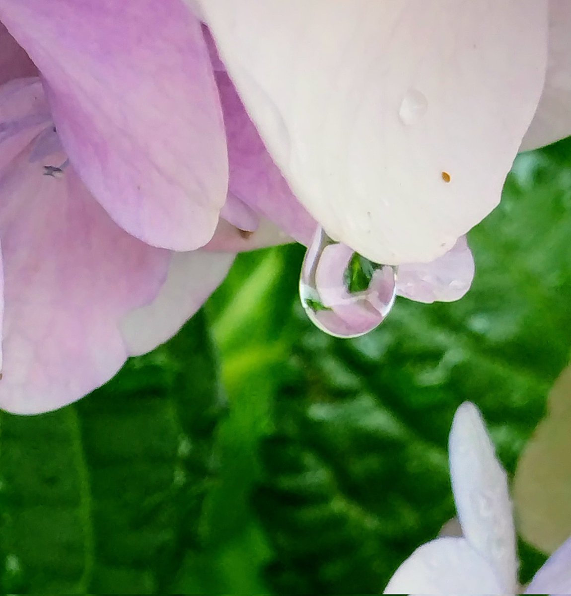 アンデぱる tweet media